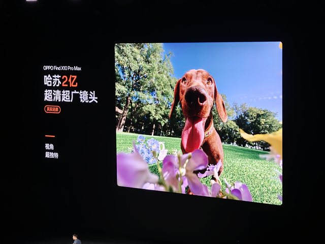 哈蘇 2 億超清超廣角鏡頭實拍表現
